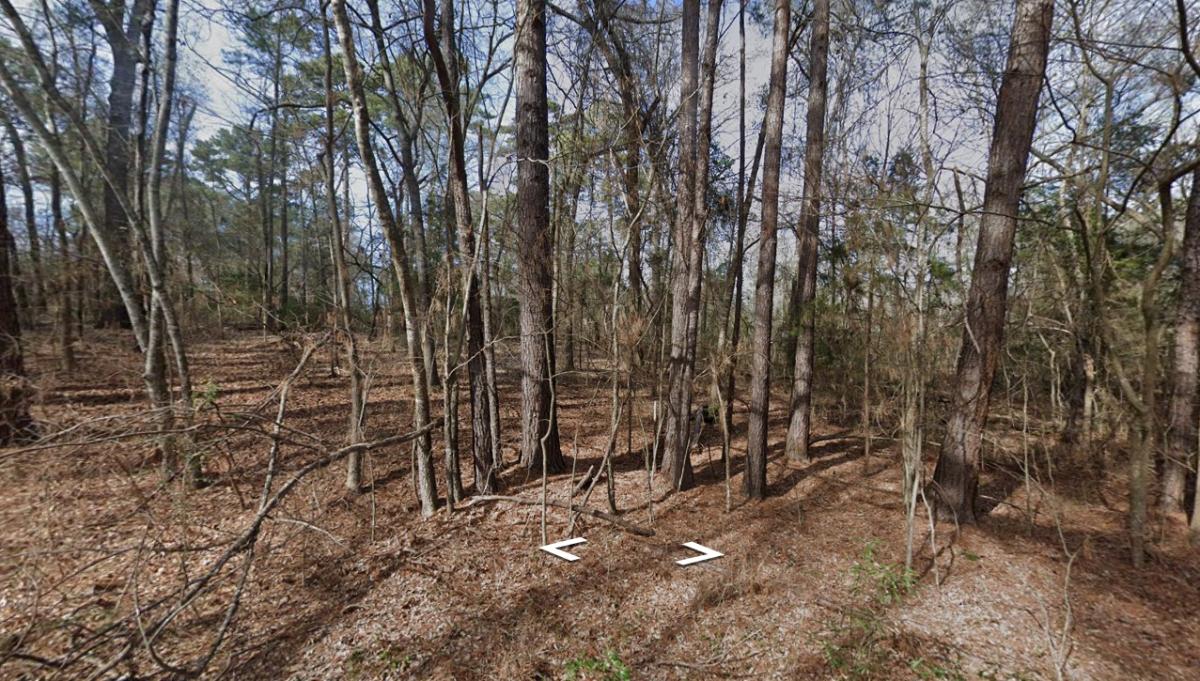 0.22 Acres for Sale in Bullard, Texas