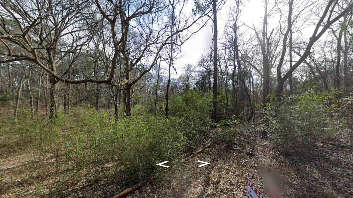 0.22 Acres for Sale in Bullard, Texas