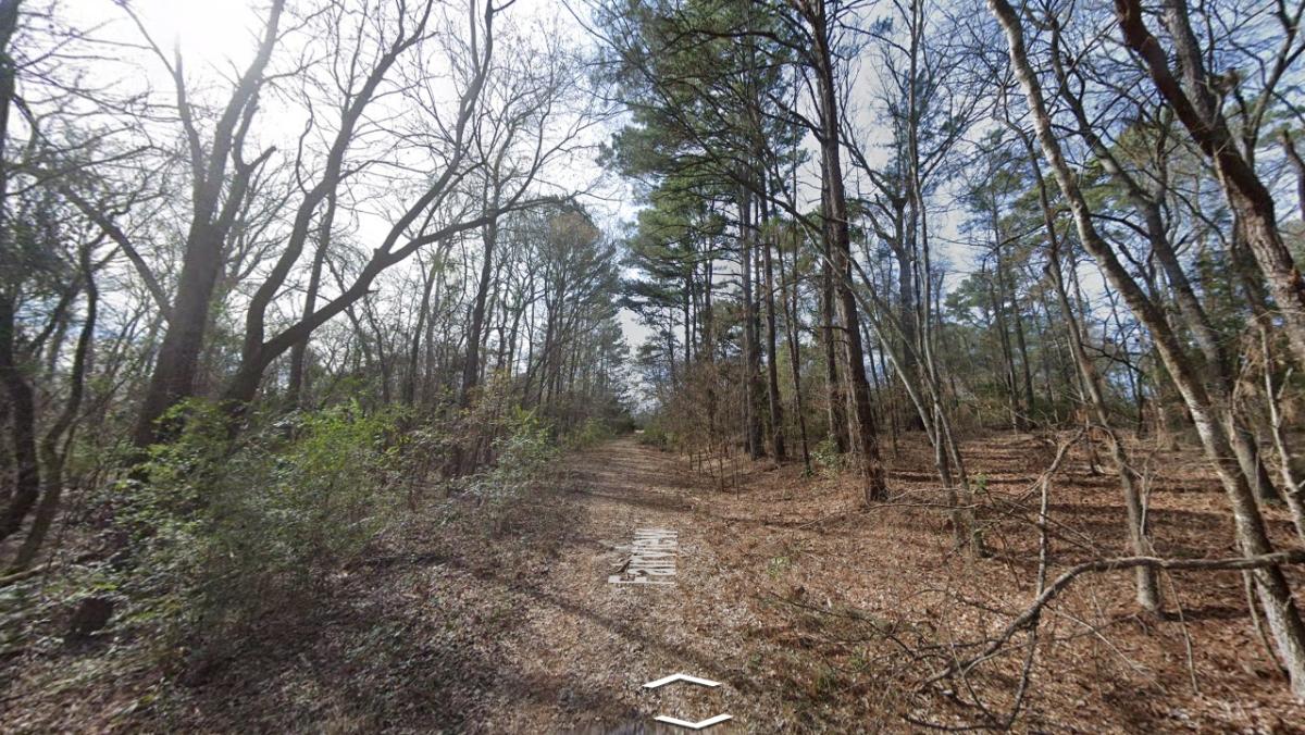 0.22 Acres for Sale in Bullard, Texas