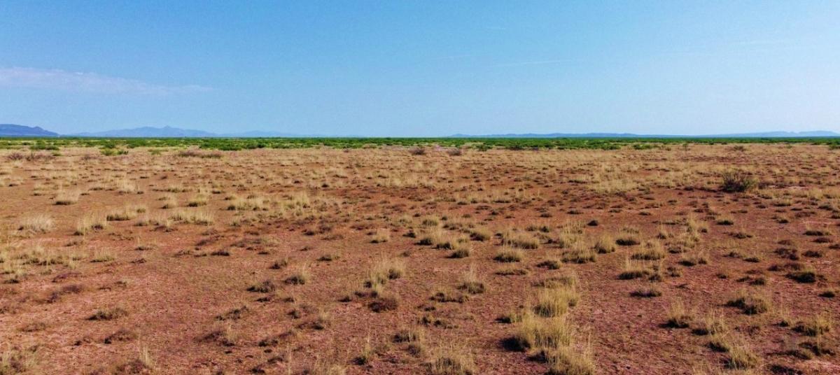 0.15 Acres for Sale in Sun Valley, Arizona