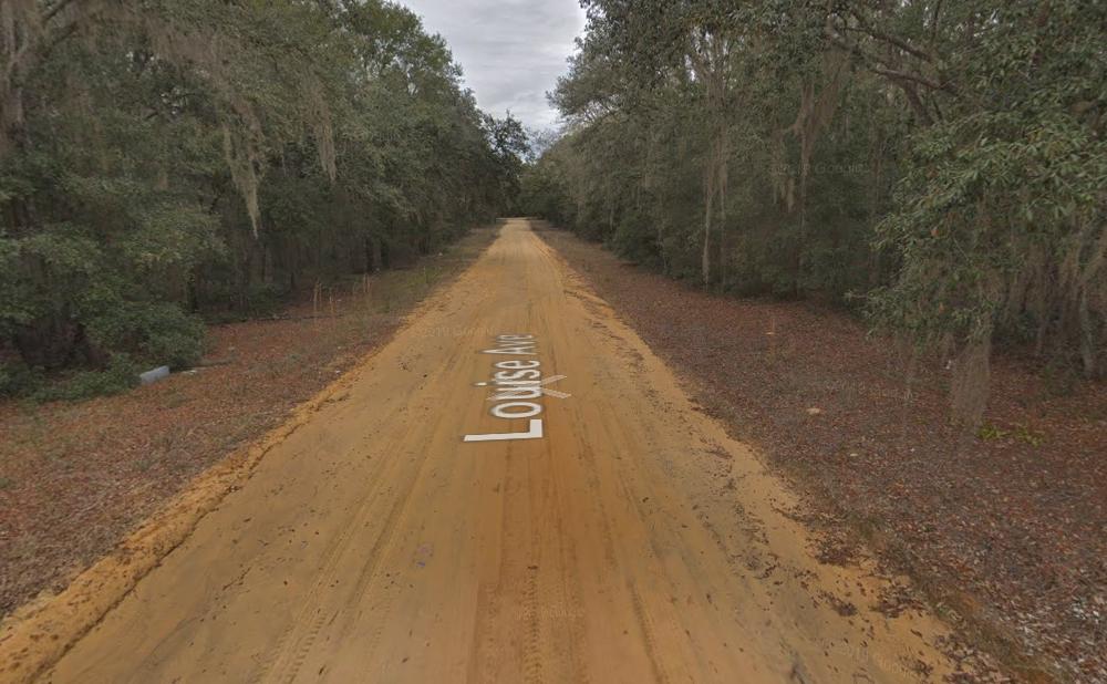 0.22 Acres for Sale in Interlachen, Florida