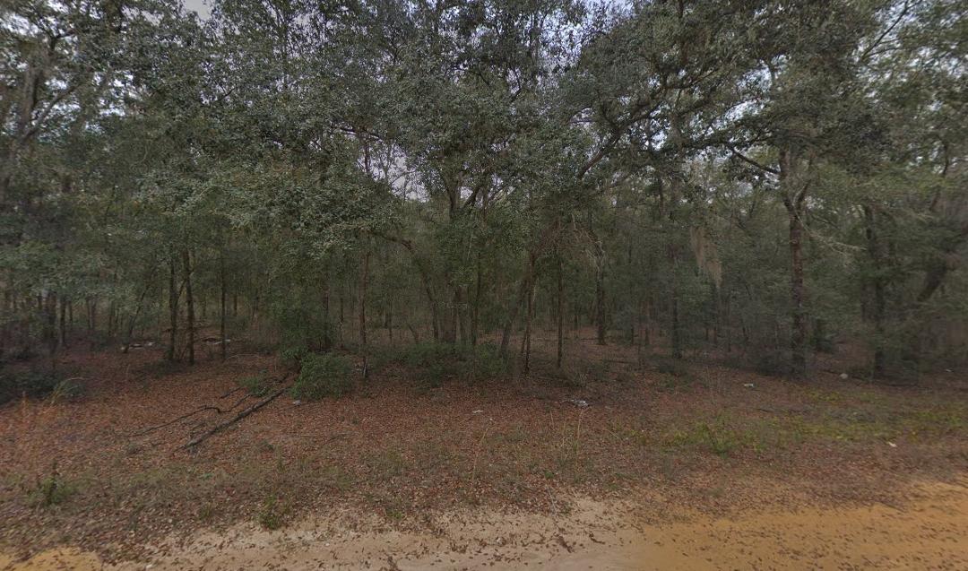 0.22 Acres for Sale in Interlachen, Florida