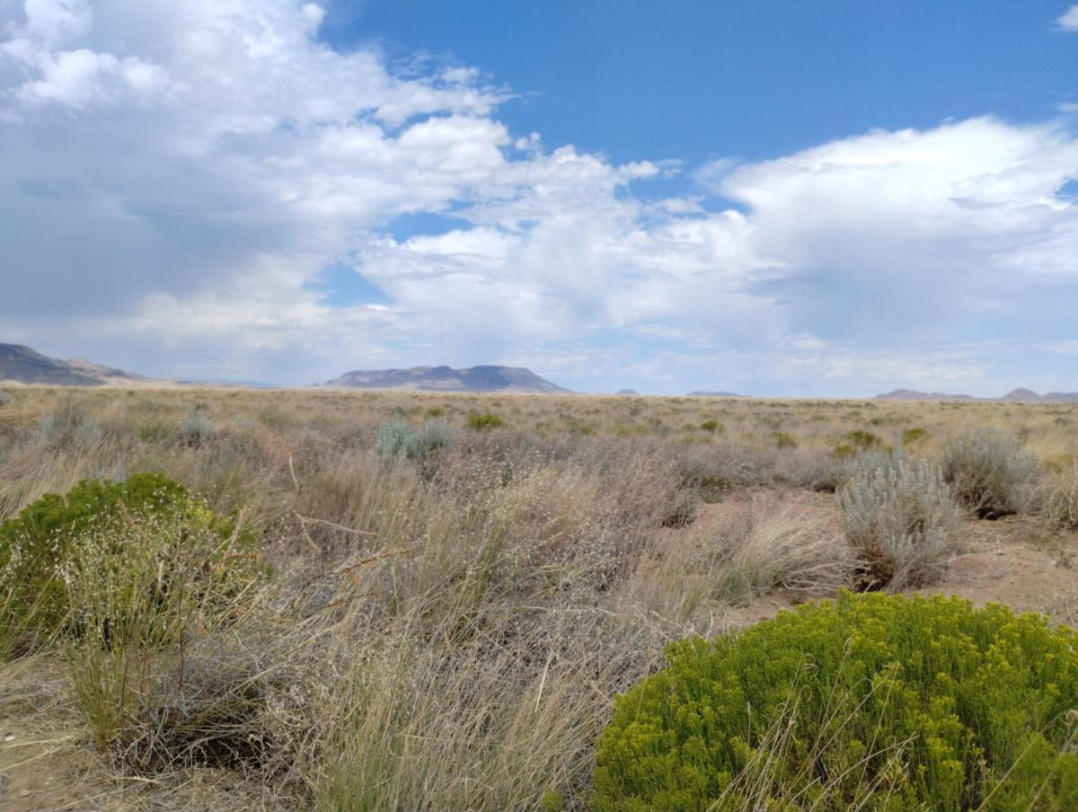 15 Acres for Sale in Mesita, Colorado