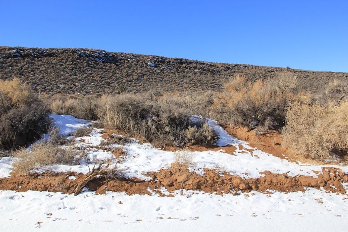 4.17 Acres for Sale in San Luis, Colorado