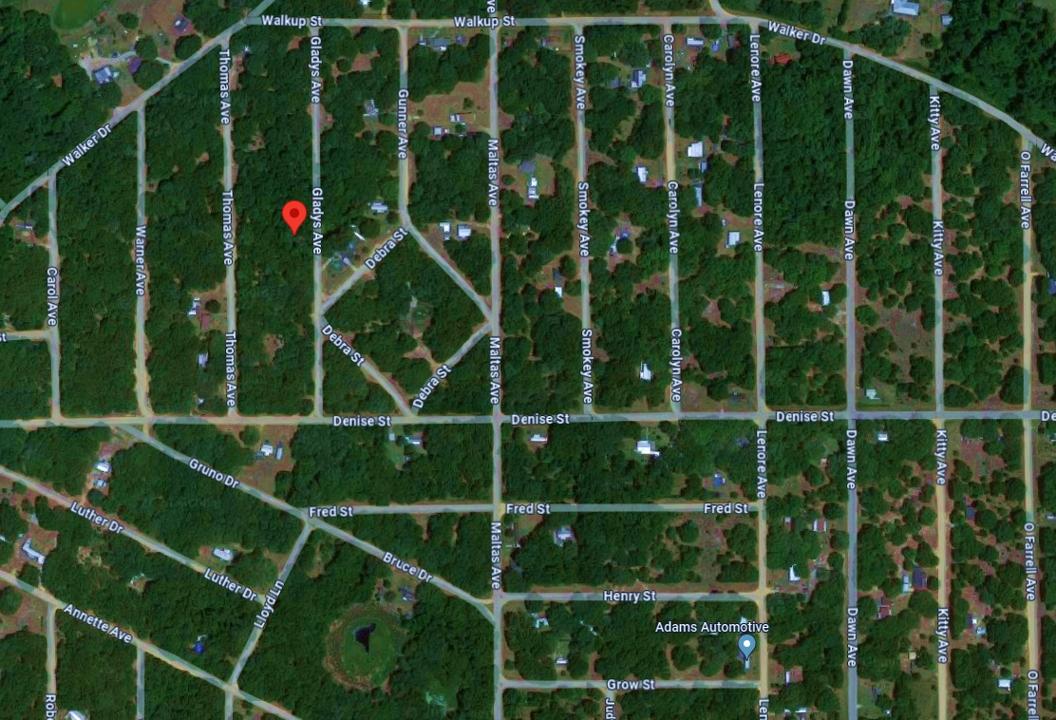 0.22 Acres for Sale in Interlachen, Florida