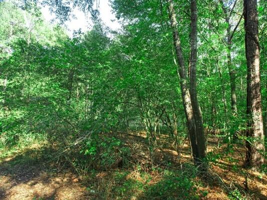 0.26 Acres for Sale in Harleton, Texas