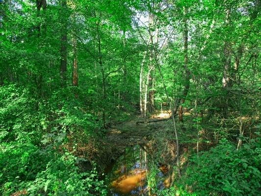 0.74 Acres for Sale in Harleton, Texas