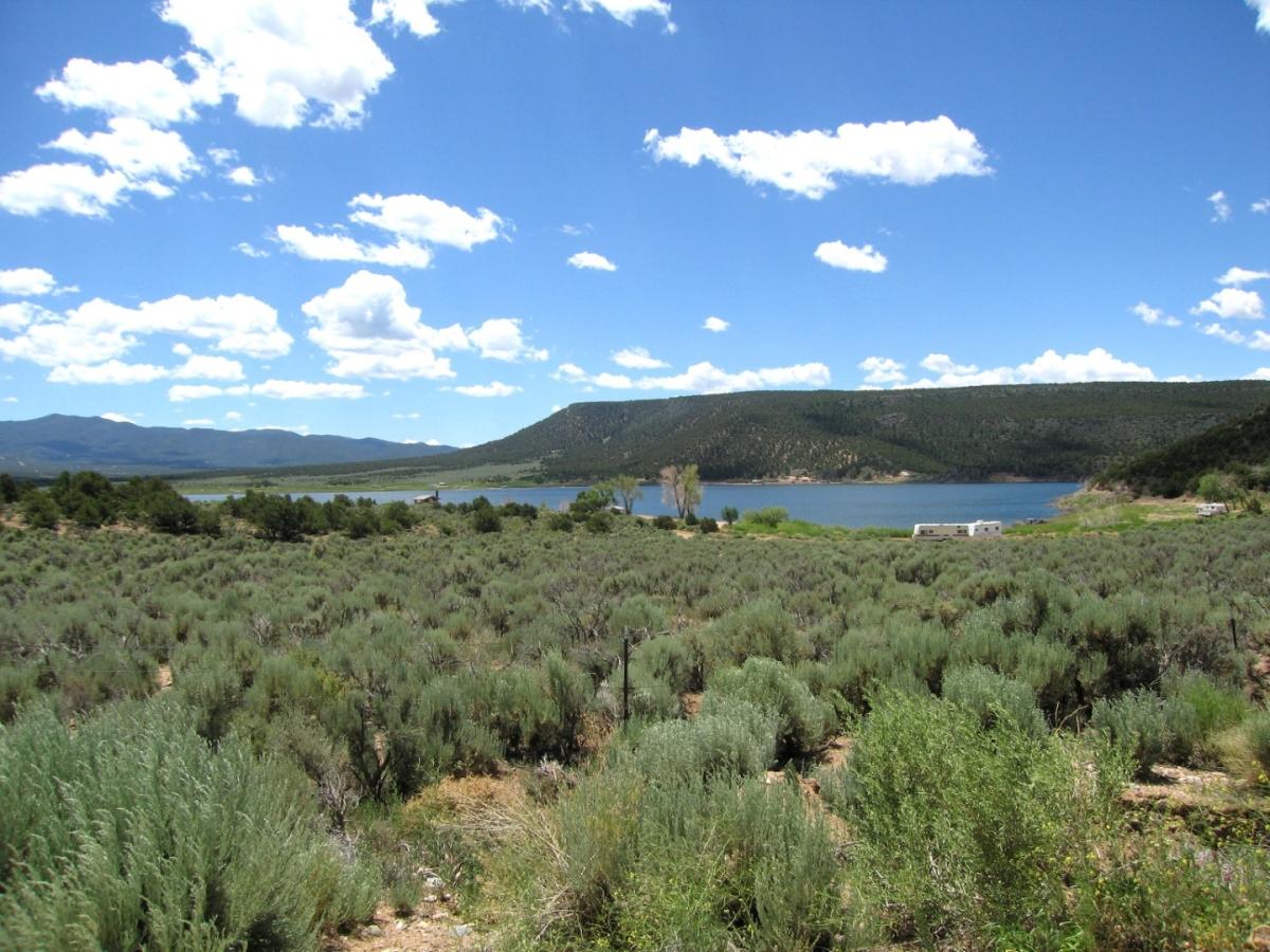 4.60 Acres for Sale in Fort Garland, Colorado