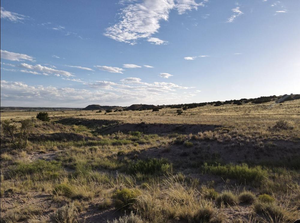 1 Acres for Sale in Sanders, Arizona