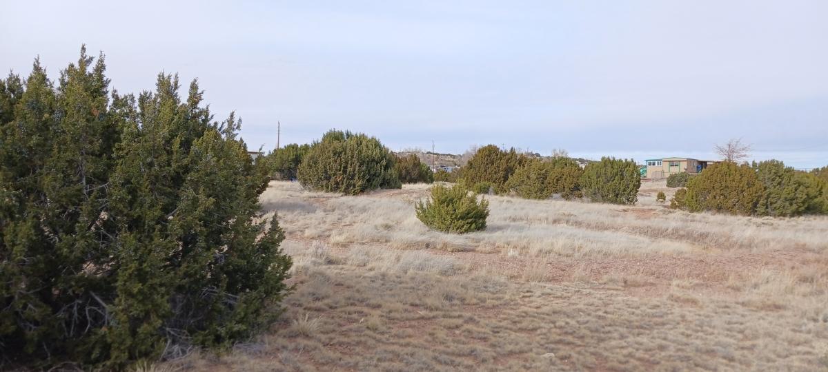 0.34 Acres for Sale in Concho, Arizona