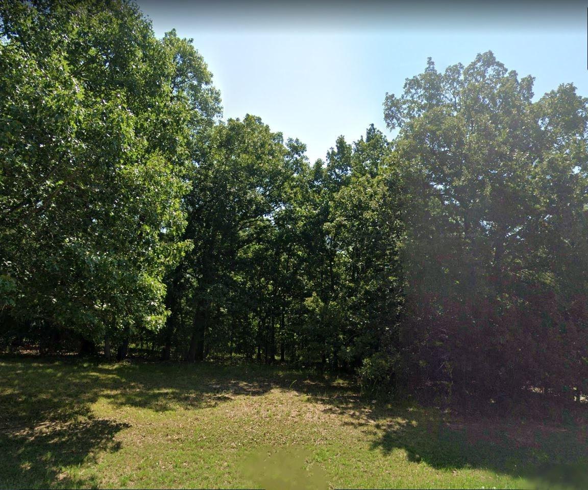 0.29 Acres for Sale in Lead Hill, Arkansas