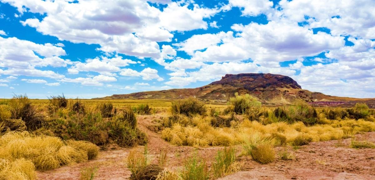 0.17 Acres for Sale in Sun Valley, Arizona