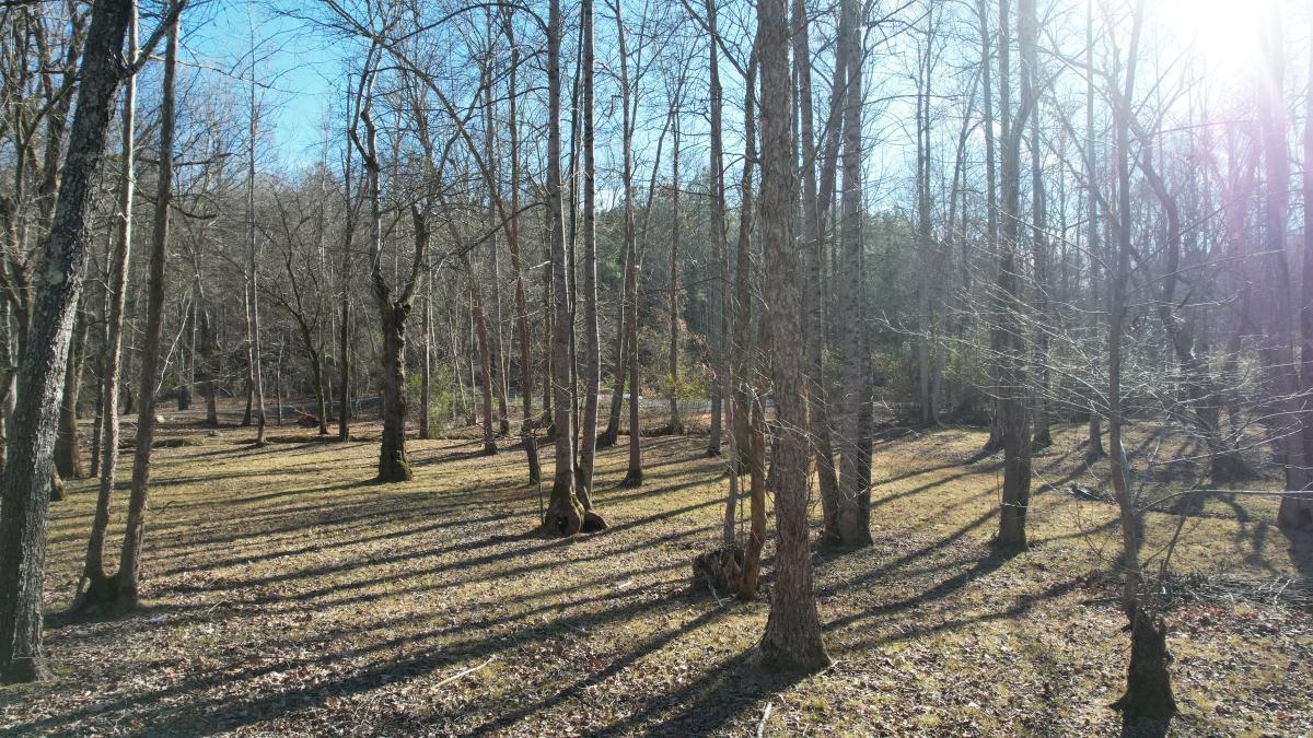 1.16 Acres for Sale in Mooresboro, North Carolina