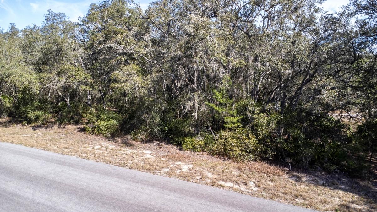 0.27 Acres for Sale in Ocklawaha, Florida