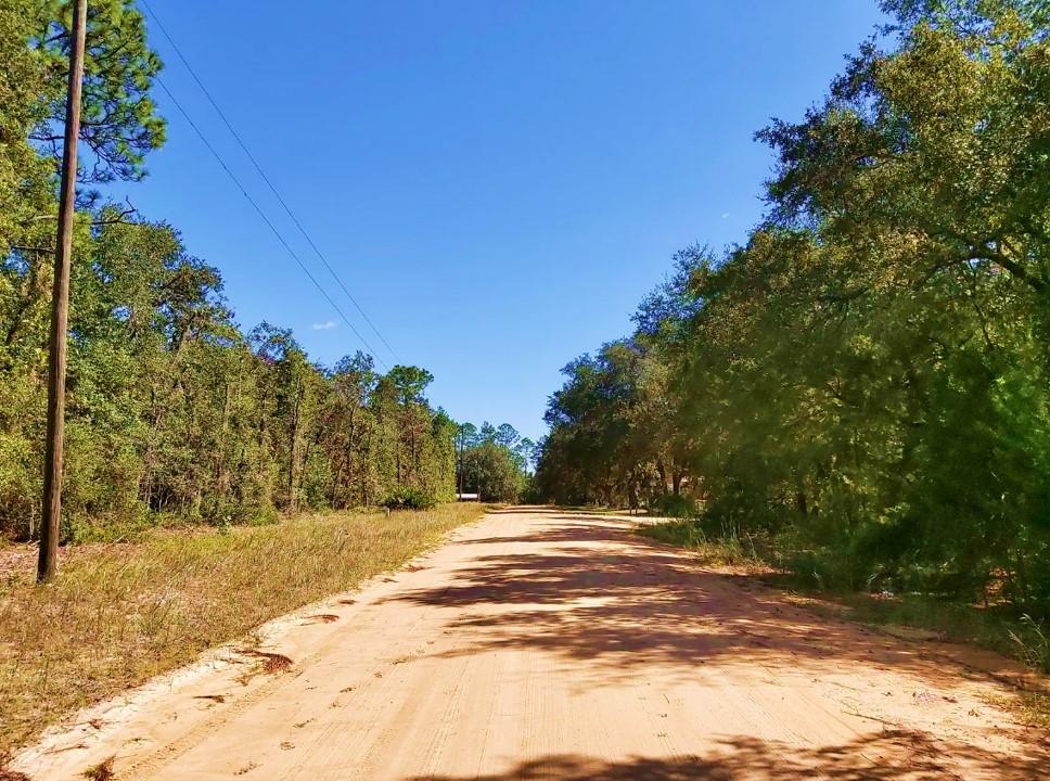 0.23 Acres for Sale in Georgetown, Florida