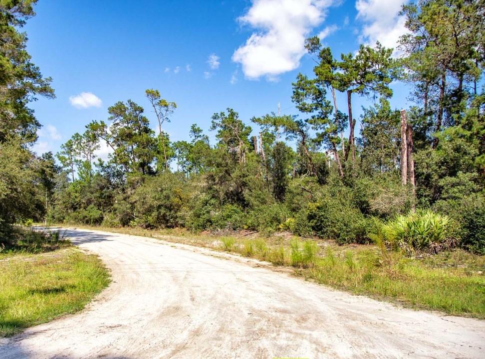 0.23 Acres for Sale in Georgetown, Florida