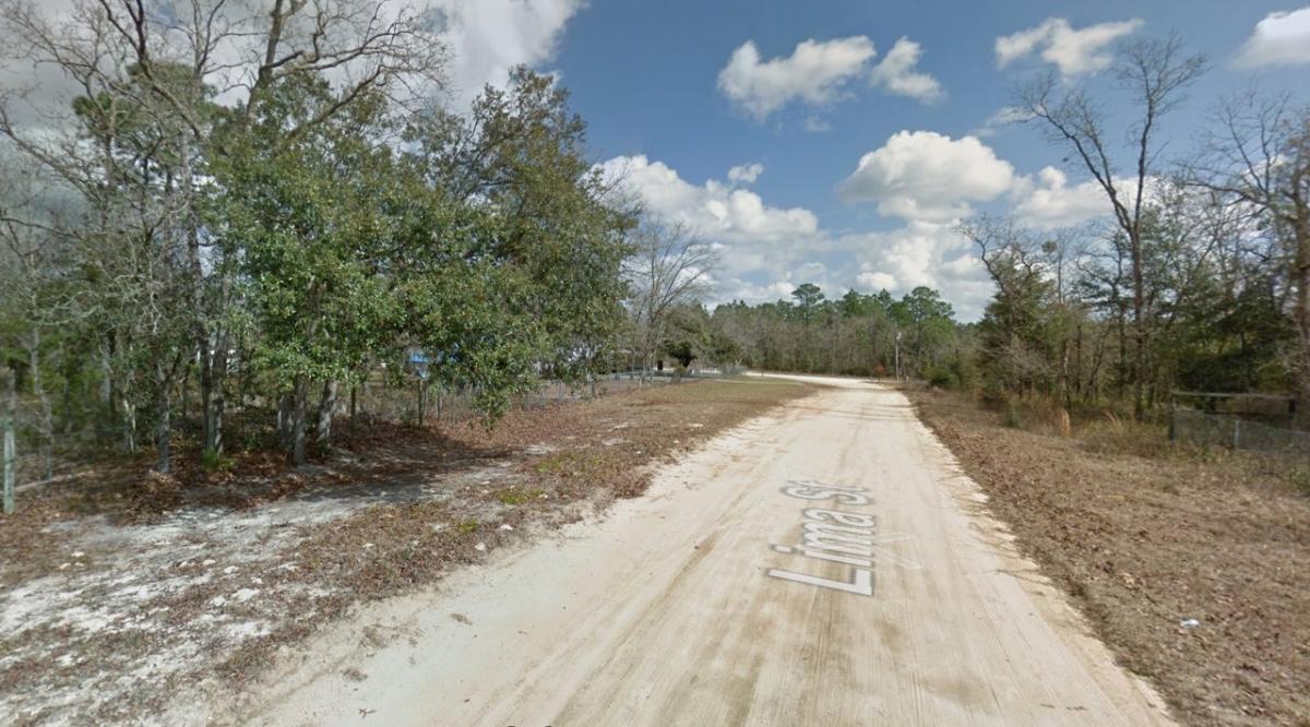 0.23 Acres for Sale in Georgetown, Florida