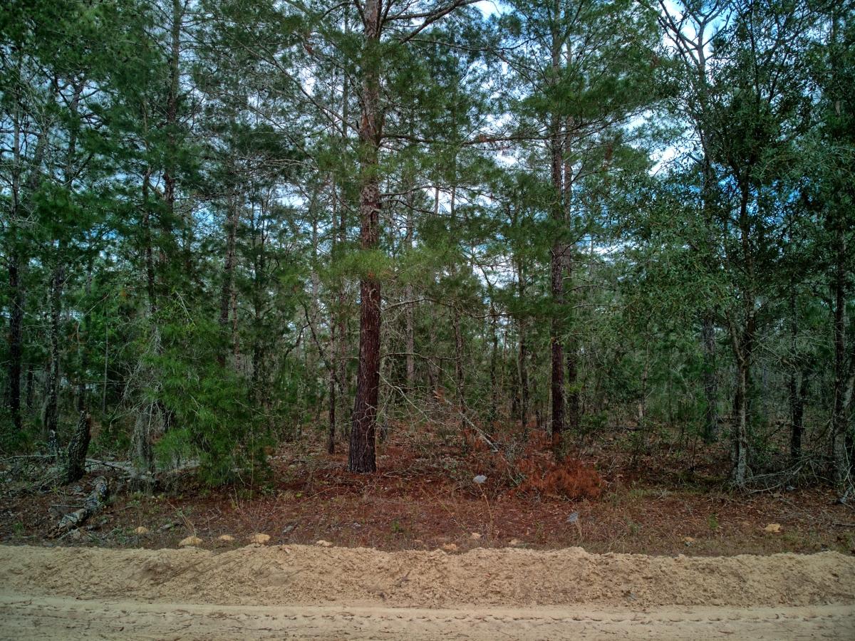 0.52 Acres for Sale in Interlachen, Florida