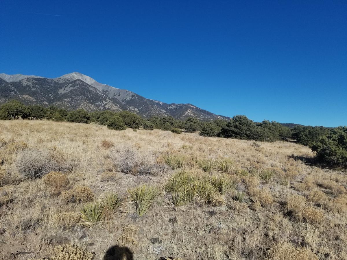 4.58 Acres for Sale in Blanca, Colorado