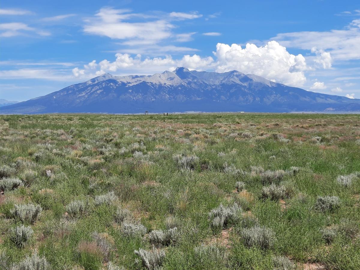 4.92 Acres for Sale in Blanca, Colorado