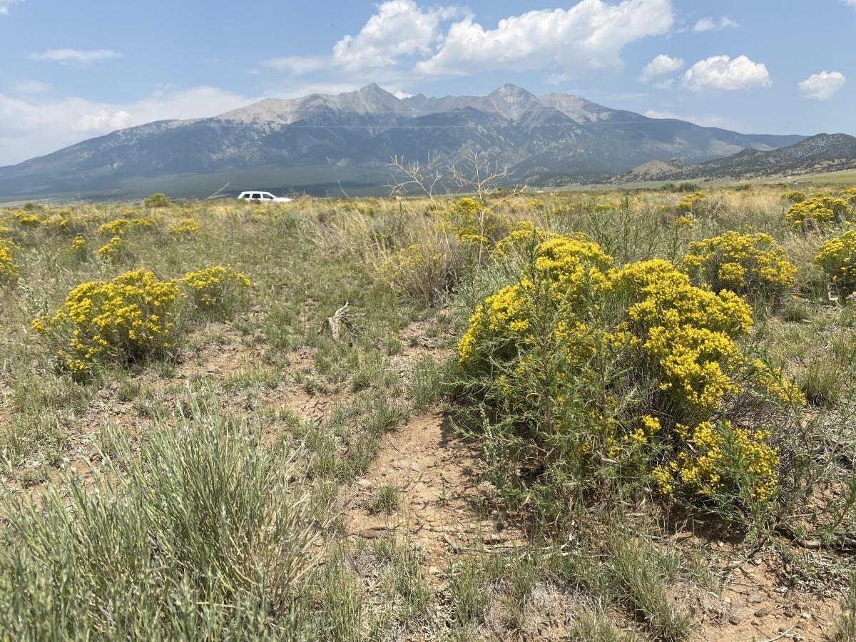 4.92 Acres for Sale in Blanca, Colorado