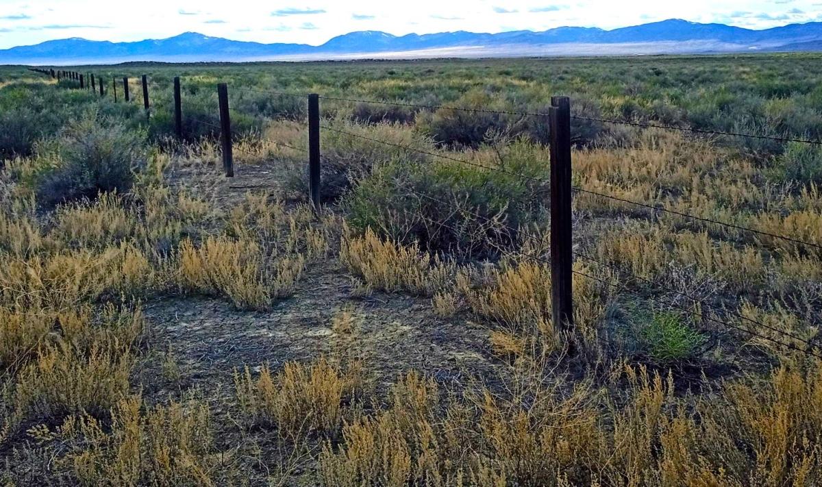 10 Acres for Sale in Montello, Nevada