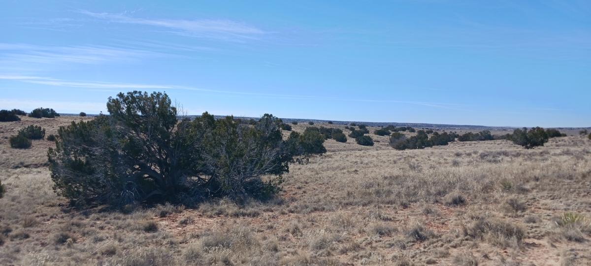 1.04 Acres for Sale in Chambers, Arizona