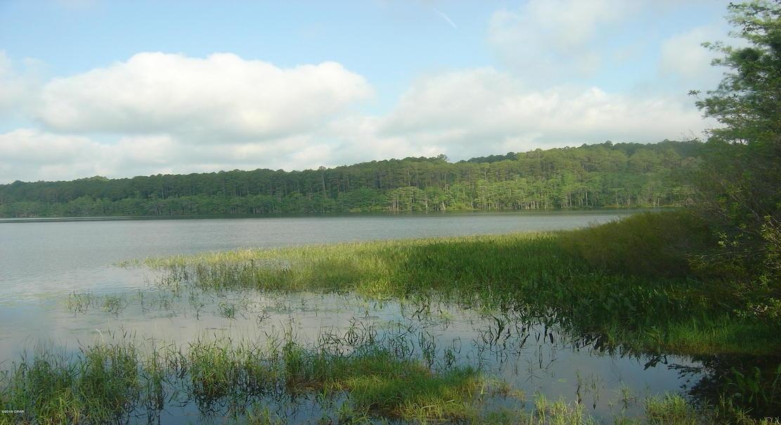 1.14 Acres for Sale in Alford, Florida