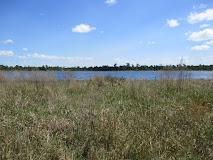 0.28 Acres for Sale in Sebring, Florida