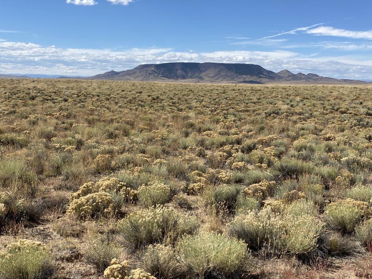5 Acres for Sale in Mesita, Colorado