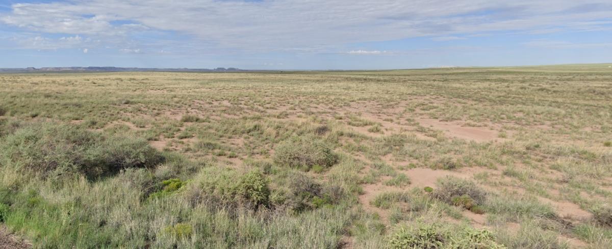 2.5 Acres for Sale in Adamana, Arizona