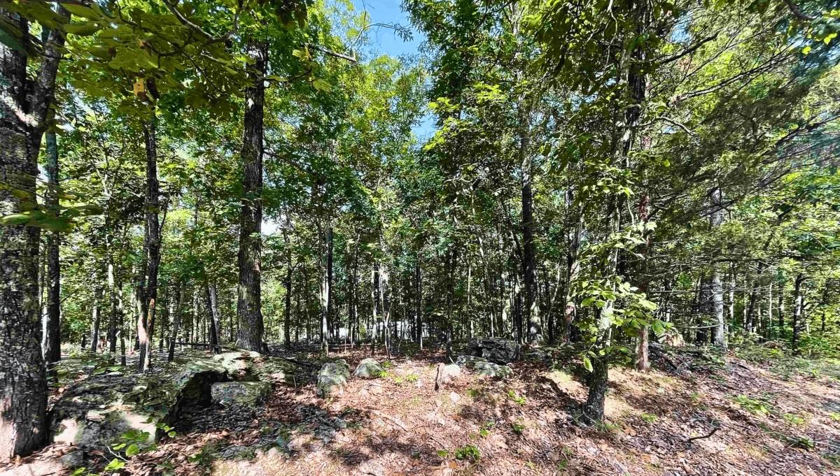 0.28 Acres for Sale in Horseshoe Bend, Arkansas