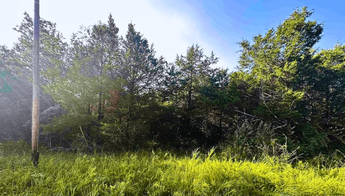 0.38 Acres for Sale in Horseshoe Bend, Arkansas