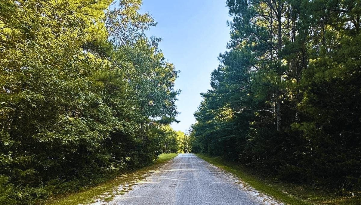 0.38 Acres for Sale in Horseshoe Bend, Arkansas