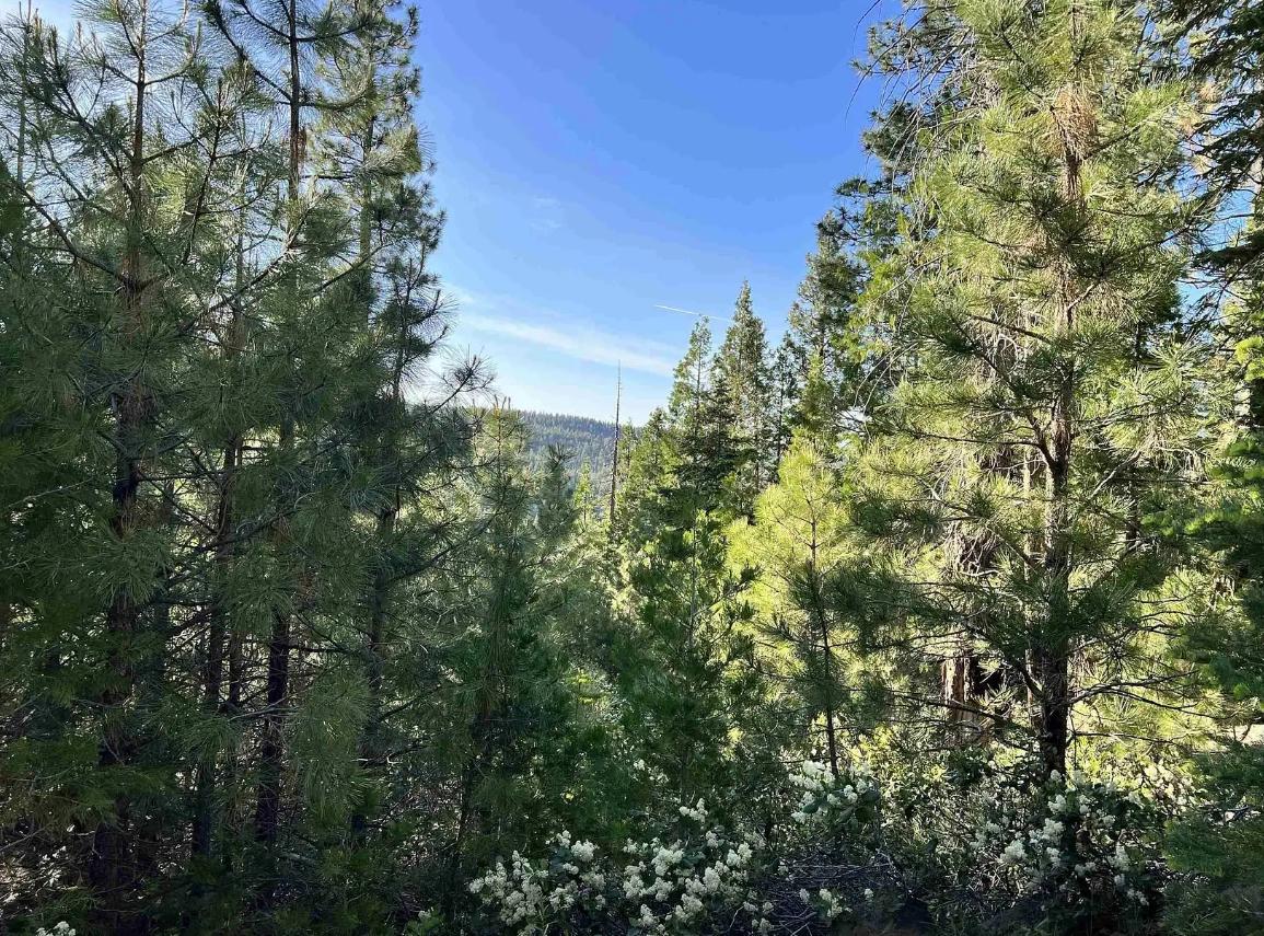 0.87 Acres for Sale in Alturas, California