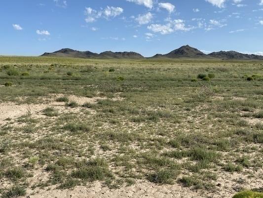 5 Acres for Sale in Mesita, Colorado