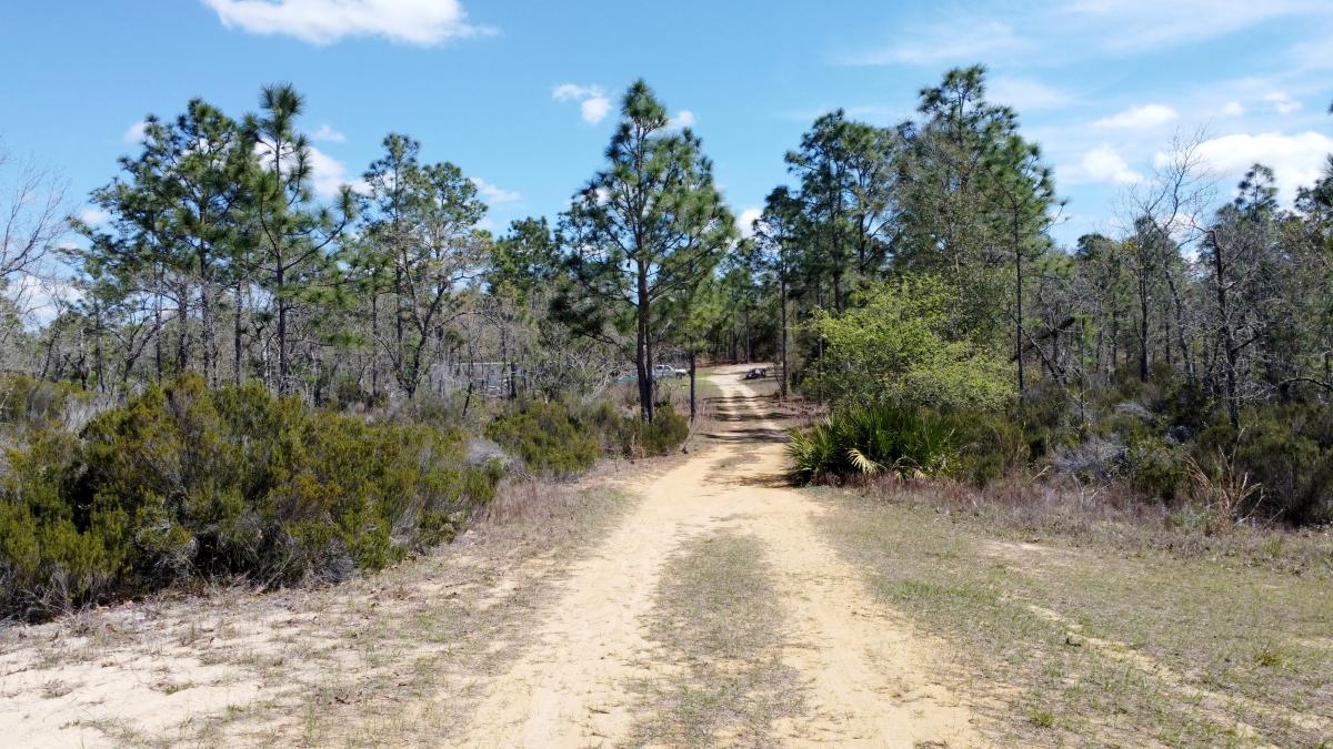 0.2 Acres for Sale in Interlachen, Florida