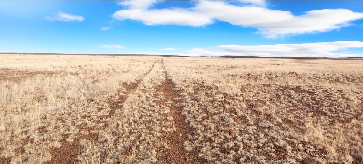 0.46 Acres for Sale in Concho, Arizona