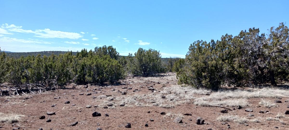 1.19 Acres for Sale in Concho, Arizona