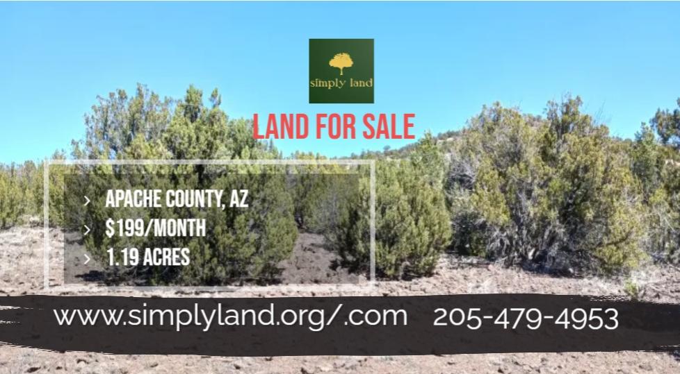 1.19 Acres for Sale in Concho, Arizona