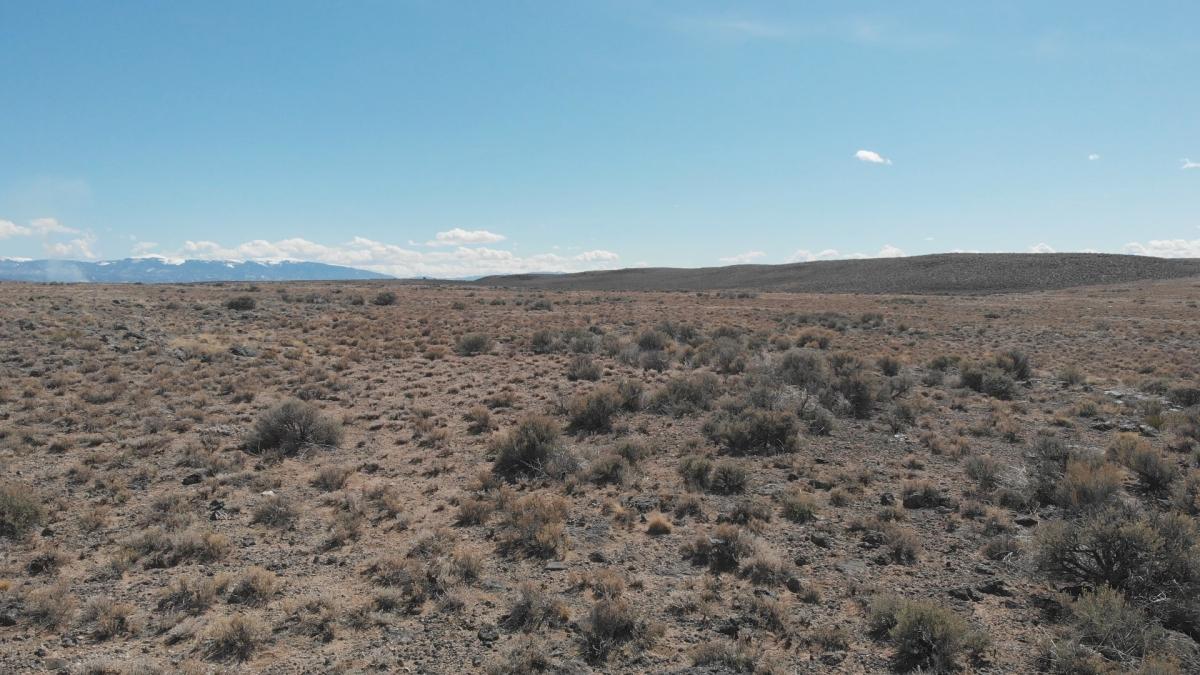4.66 Acres for Sale in Blanca, Colorado