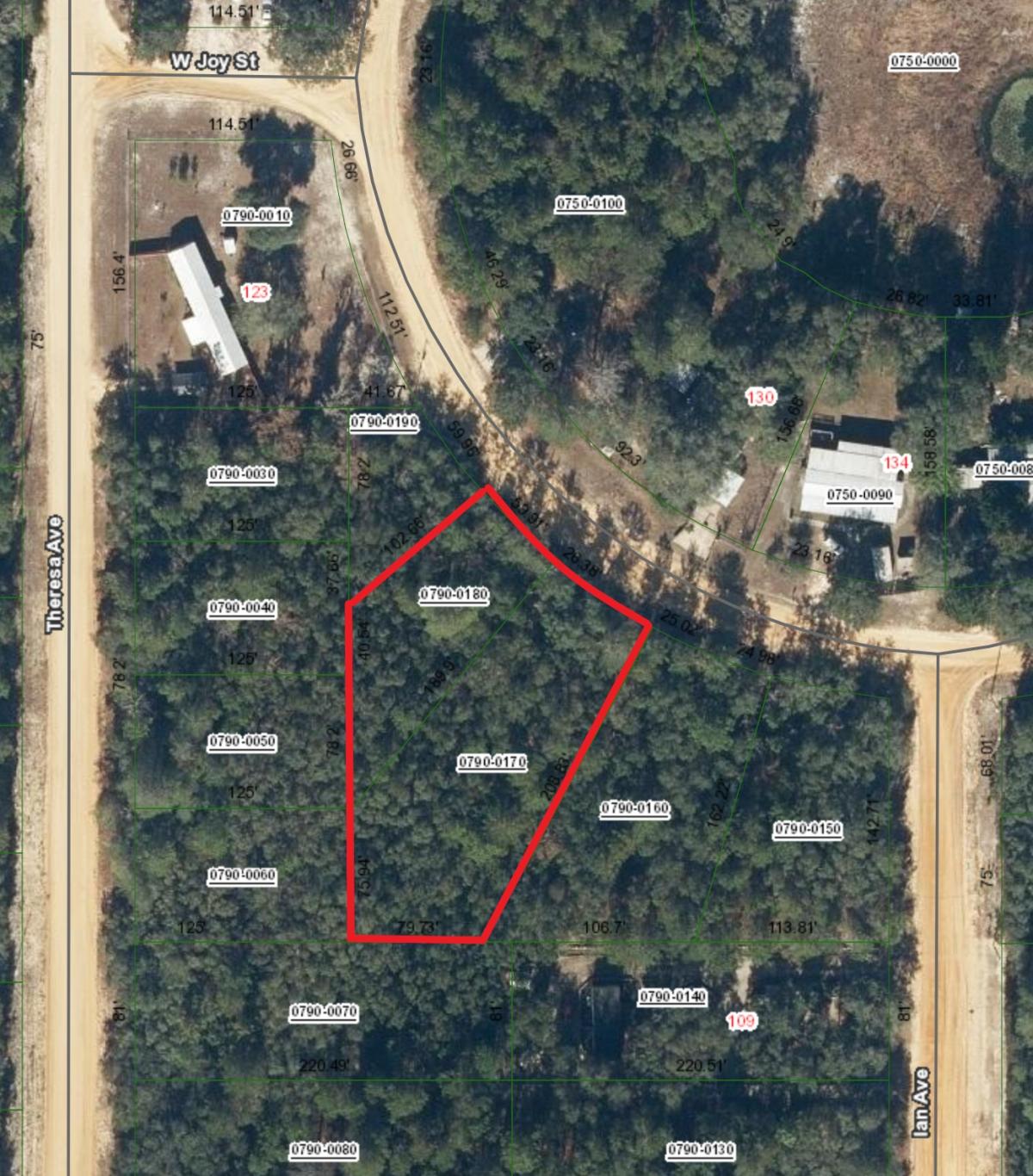 0.82 Acres for Sale in Interlachen, Florida