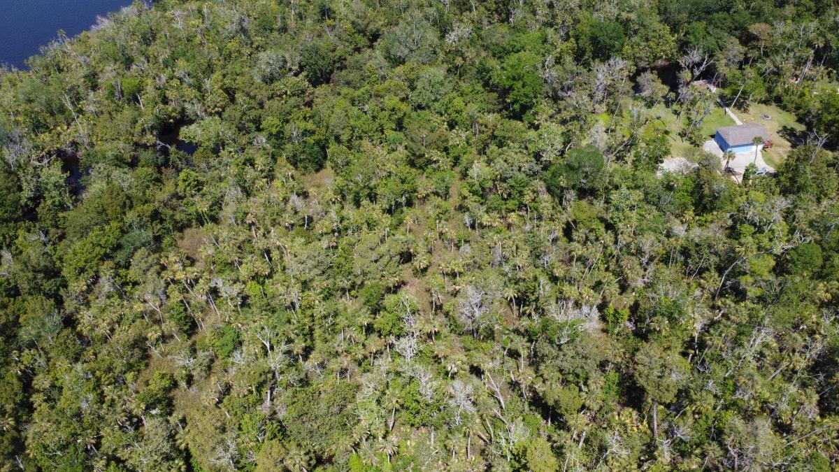 0.31 Acres for Sale in Homosassa, Florida