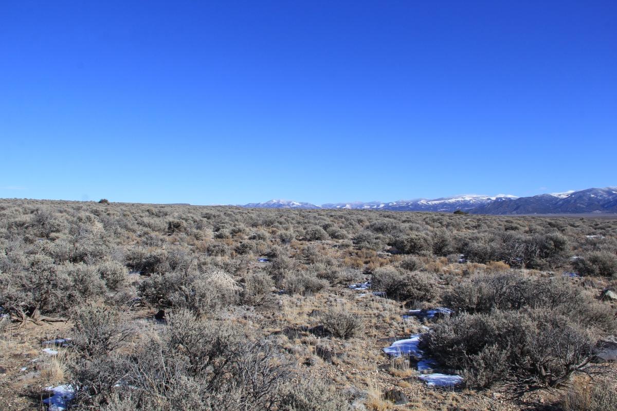 4.92 Acres for Sale in Fort Garland, Colorado