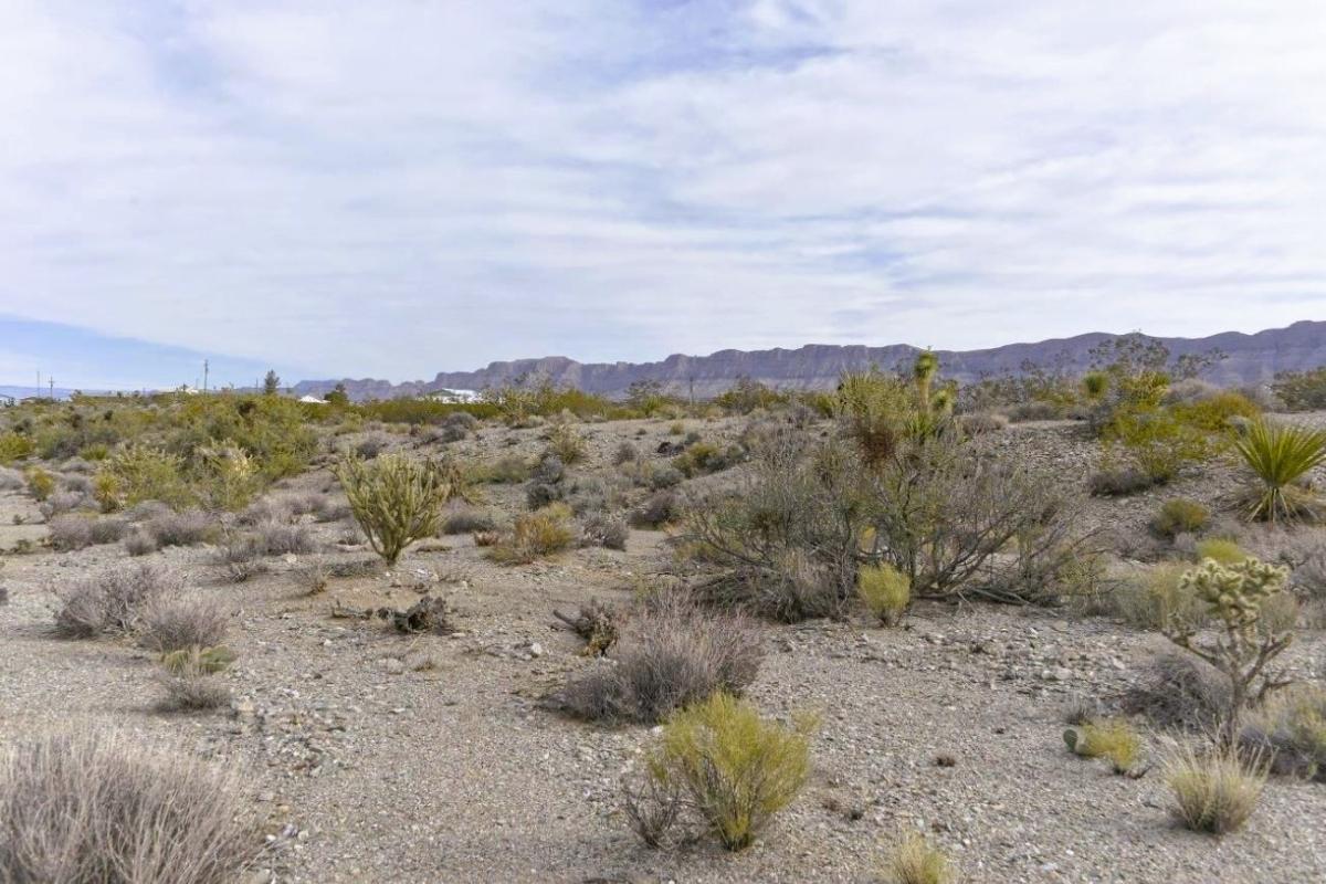 1.25 Acres for Sale in Meadview, Arizona