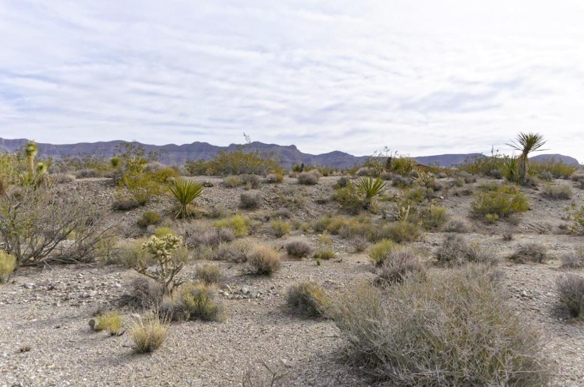 1.25 Acres for Sale in Meadview, Arizona