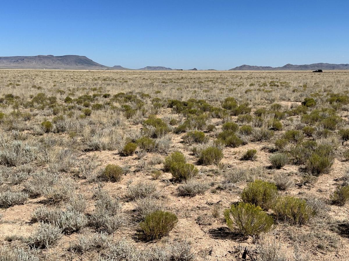 5.70 Acres for Sale in Mesita, Colorado