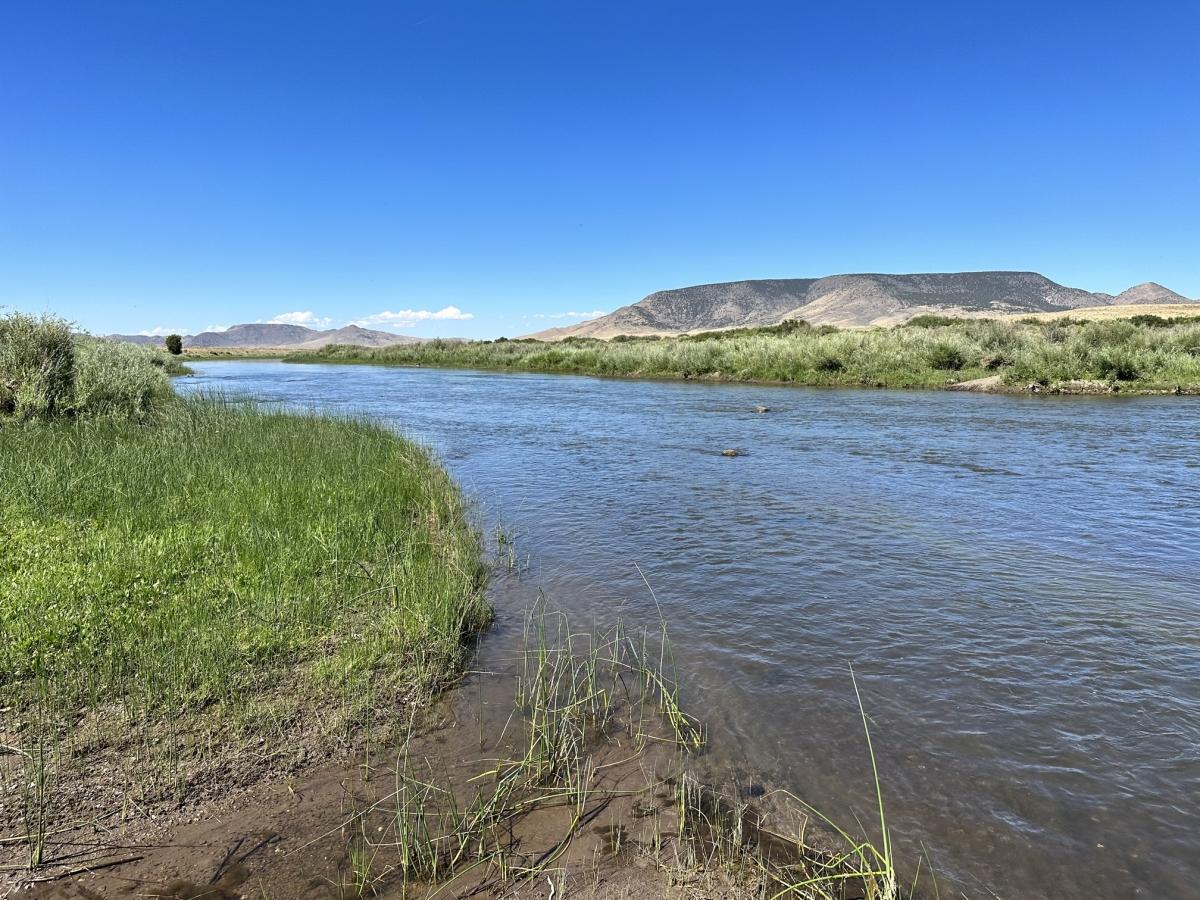 5.70 Acres for Sale in Mesita, Colorado