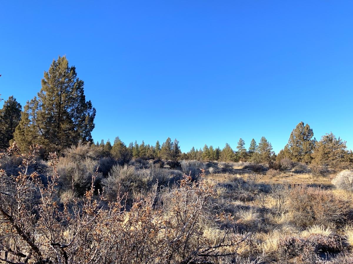 2.4 Acres for Sale in Sprague River, Oregon
