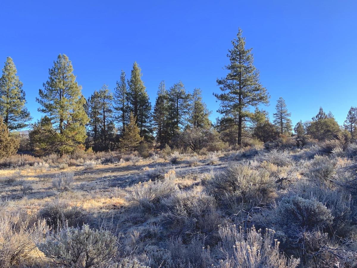 2.4 Acres for Sale in Sprague River, Oregon